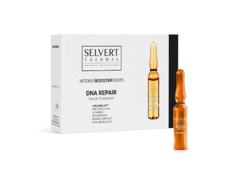 DNA Repair