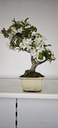 *M 3. Malus 100 euros con envio gratis peninsula.